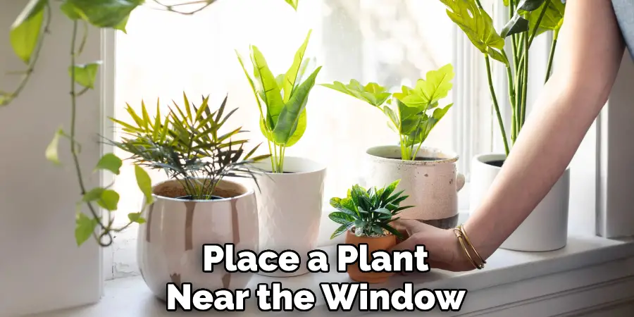 Place a Plant Near the Window