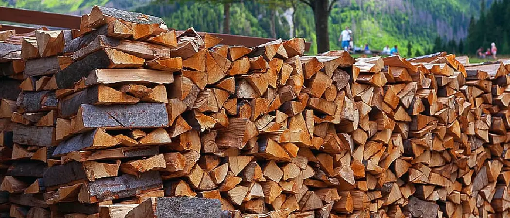 How to Tell if Wood Is Dry Enough to Burn