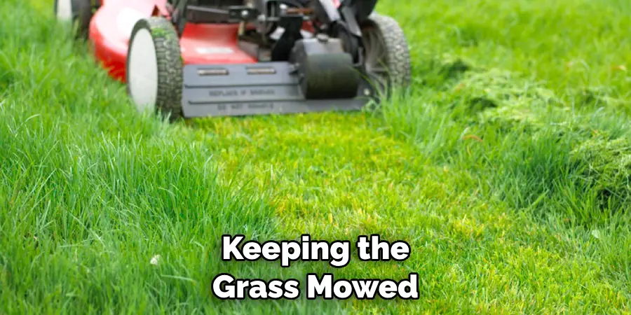 Keeping the Grass Mowed