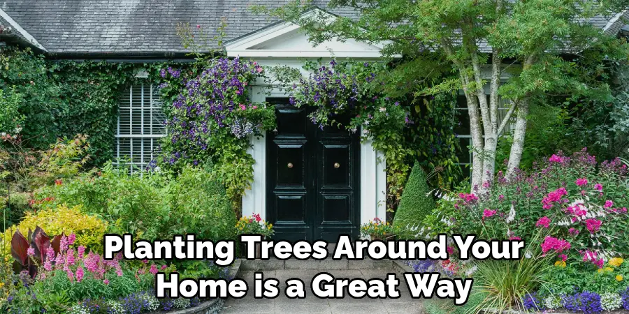 Planting Trees Around Your Home is a Great Way