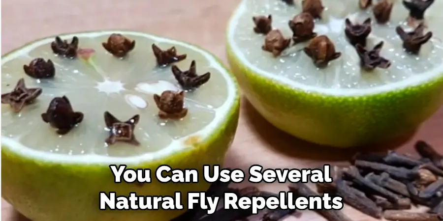 You Can Use Several Natural Fly Repellents