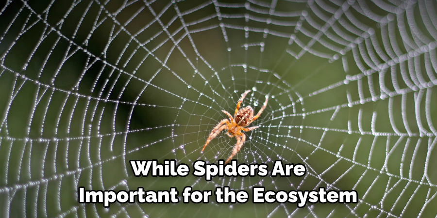 While Spiders Are 
Important for the Ecosystem