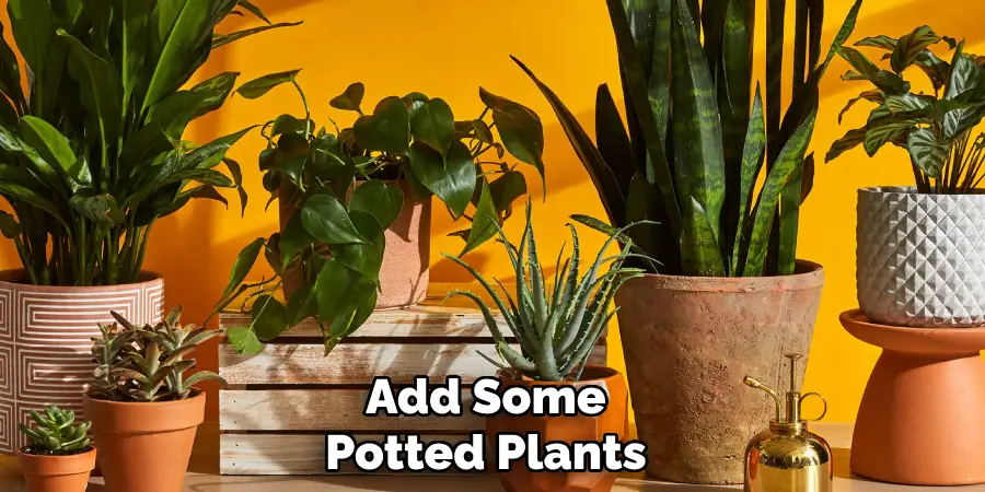 Add Some Potted Plants