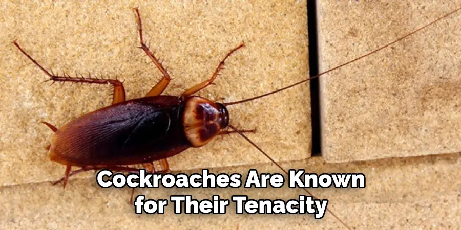 Cockroaches Are Known for Their Tenacity