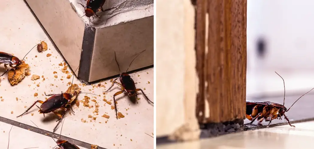 How to Stop Cockroaches from Coming Under the Door