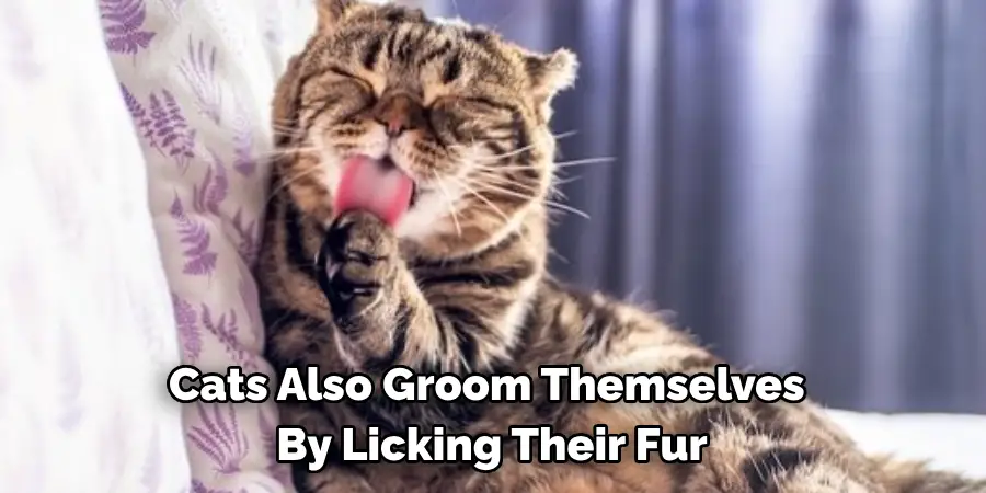 Cats Also Groom Themselves 
By Licking Their Fu