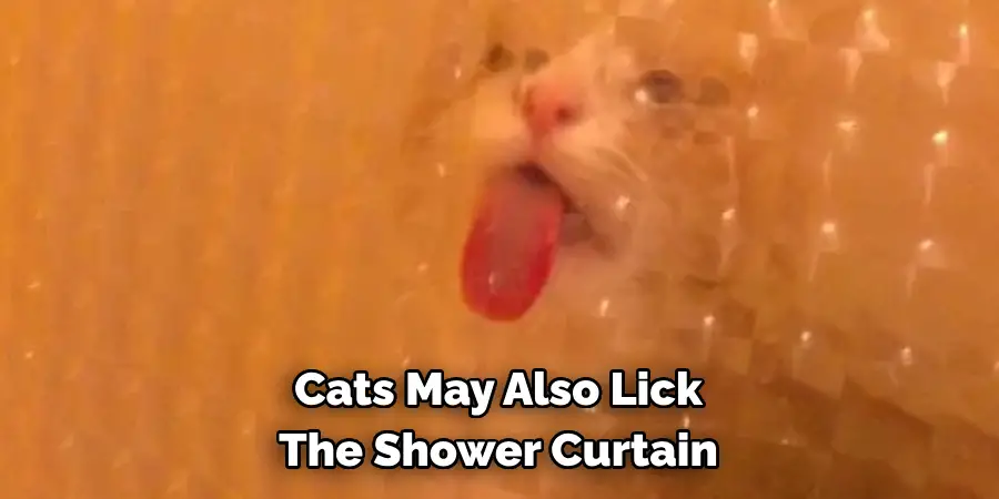 Cats May Also Lick The Shower Curtain