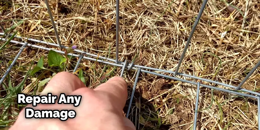 How to Stop Rats Digging Under Fence