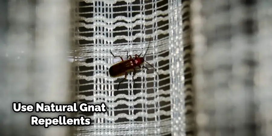 How to Keep Gnats from Coming Through Screen