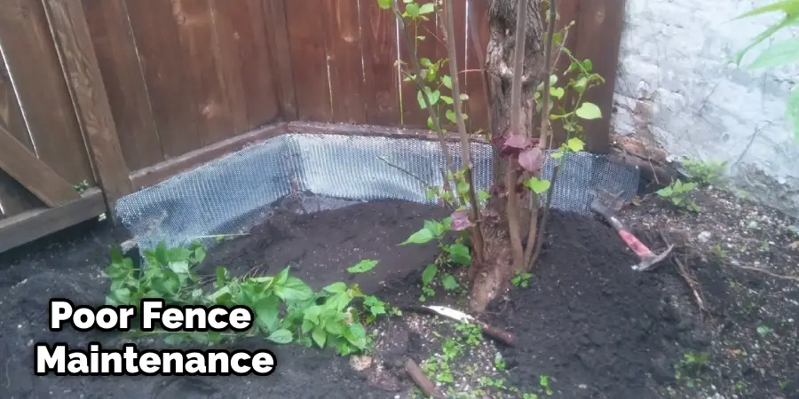 How to Stop Rats Digging Under Fence