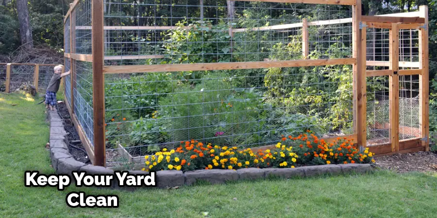 How To Stop Rats Digging Under Fence Easy Process Theindoorsolution