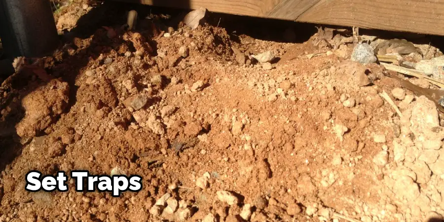 How to Stop Rodents from Digging Under Foundation