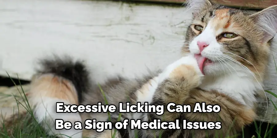 Excessive Licking Can Also Be a Sign of Medical Issues