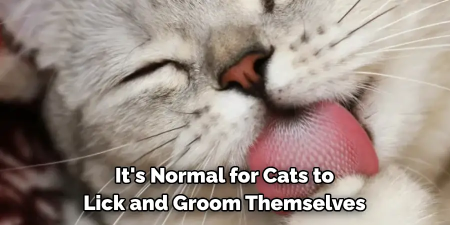 It's Normal for Cats to 
Lick and Groom Themselves