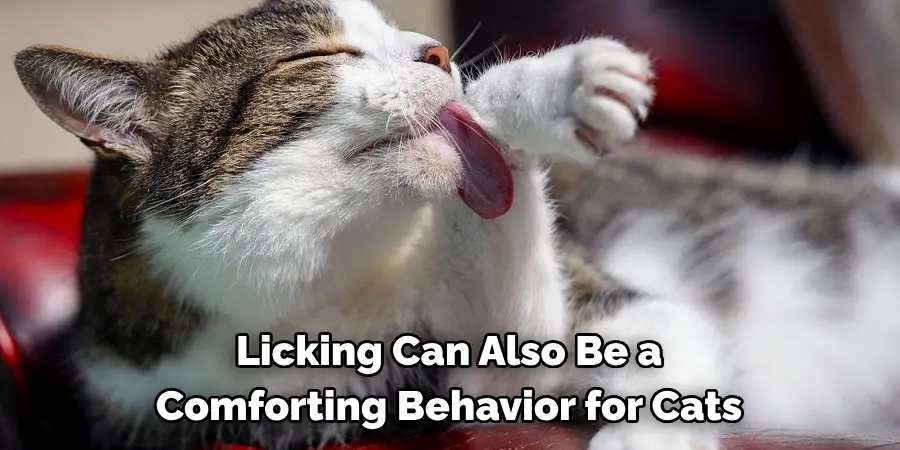 Licking Can Also Be a 
Comforting Behavior for Cats