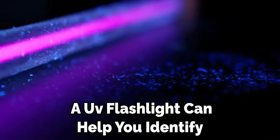 A Uv Flashlight Can Help You Identify 