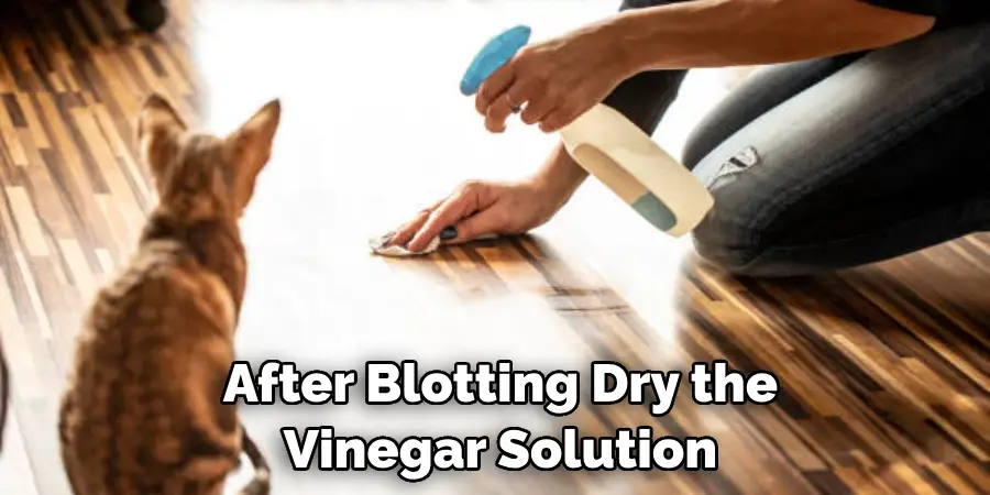 After Blotting Dry the Vinegar Solution