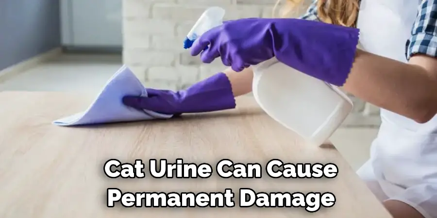 Cat Urine Can Cause Permanent Damage