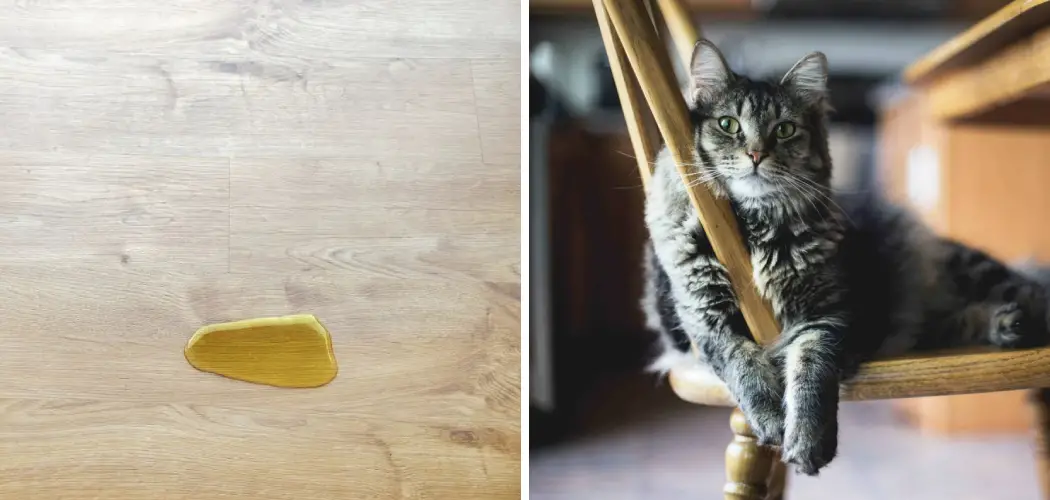 How To Get Cat Pee Out Of Wood Furniture 10 Easy Steps 2024 