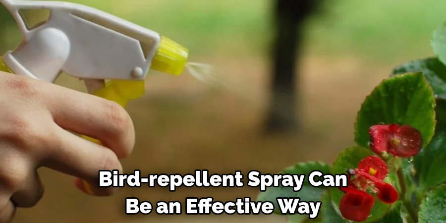 Bird-repellent Spray Can Be an Effective Way