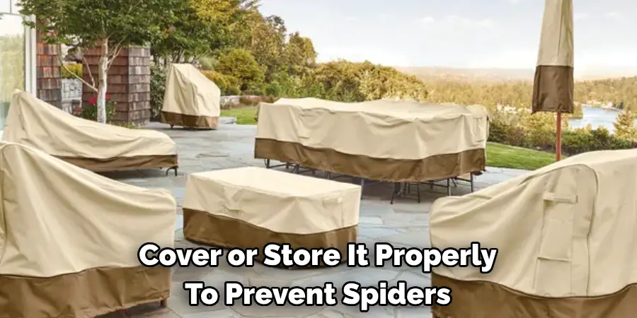 Cover or Store It Properly 
To Prevent Spiders