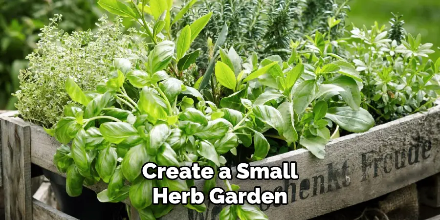 Create a Small Herb Garden