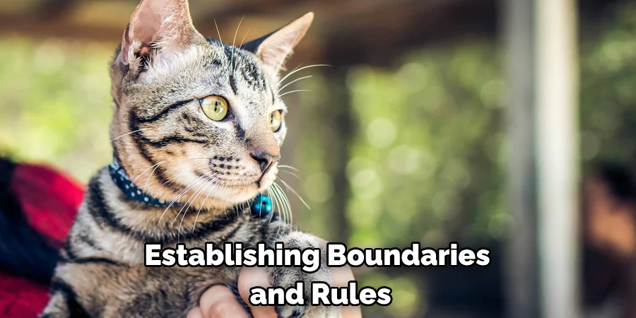 Establishing Boundaries and Rules