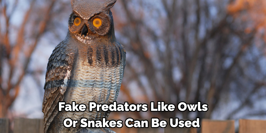 Fake Predators Like Owls Or Snakes Can Be Used
