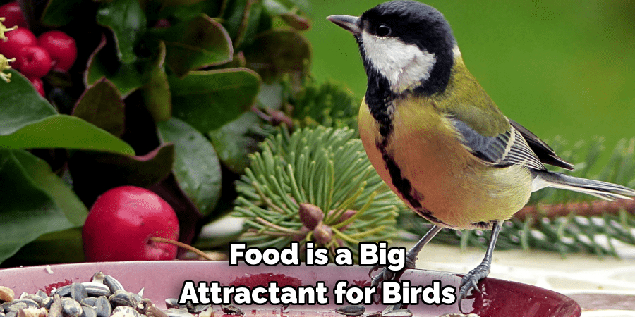 Food is a Big Attractant for Birds