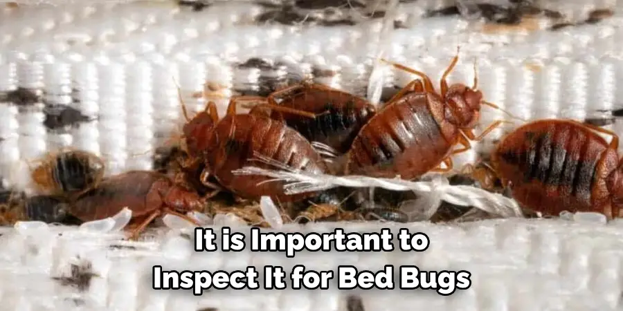 It is Important to Inspect It for Bed Bugs