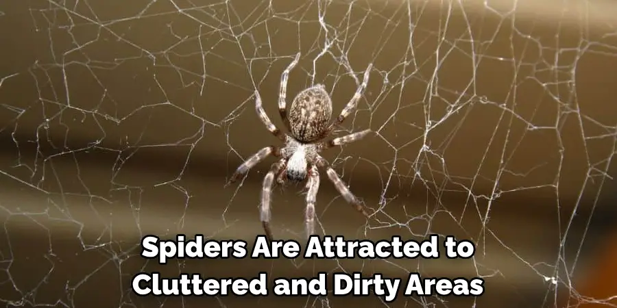 Spiders Are Attracted to
Cluttered and Dirty Areas