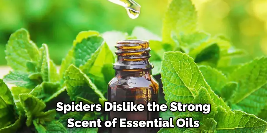 Spiders Dislike the Strong 
Scent of Essential Oils