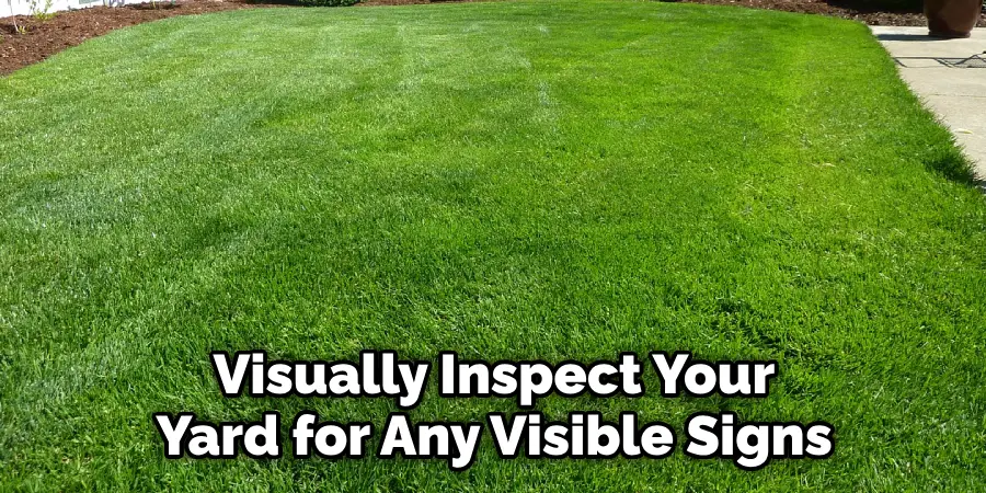 visually inspect your yard for any visible signs