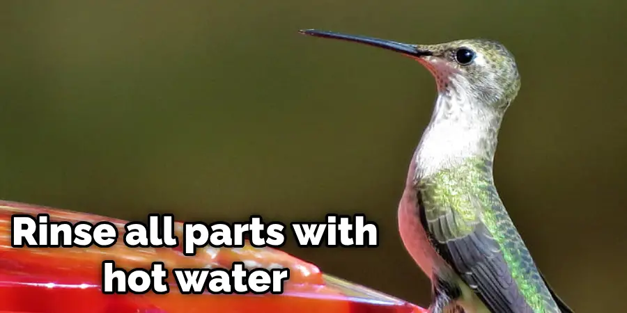 How to Tell if Hummingbird Feeder Is Working