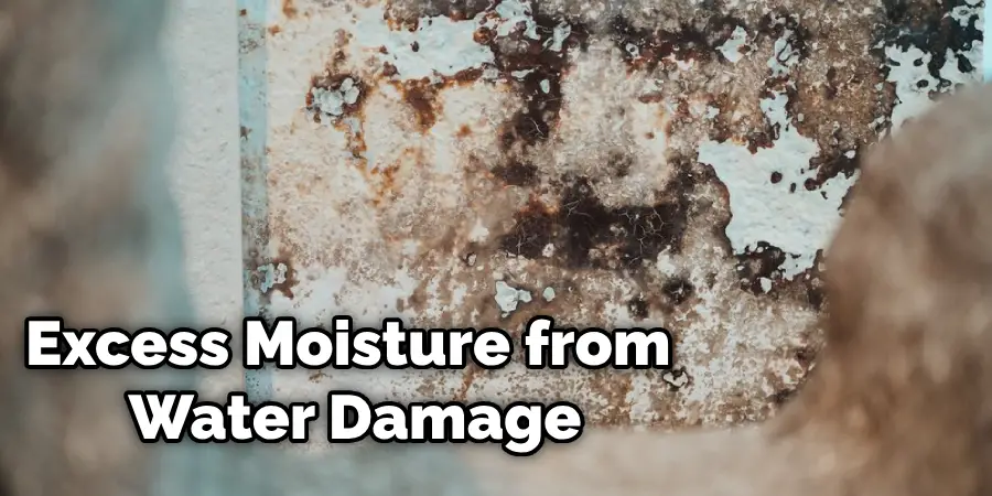 How to Treat Mold from Water Damage