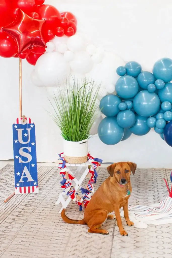 Patriotic Balloon Decorations