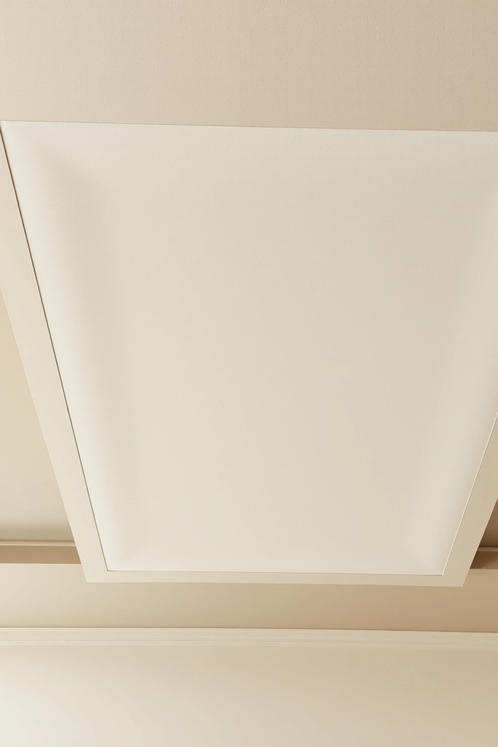 11. Acoustic Ceiling